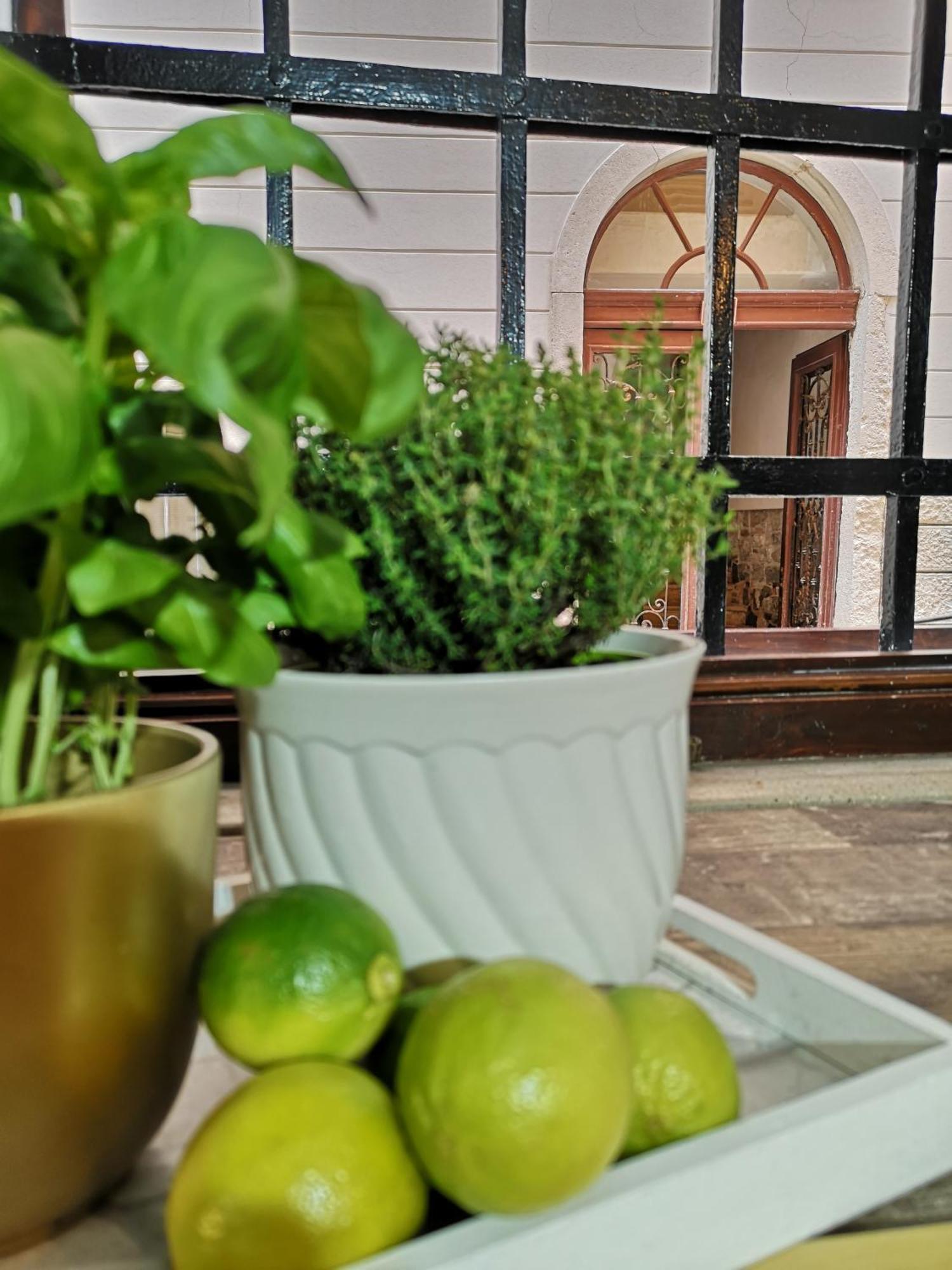 Appartamento Apartmaji Mavita Pirano Esterno foto